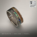 Meteorite, Abalone and Dinosaur Fossil Inlay Ring