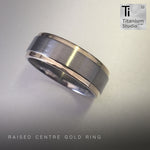 Titanium Ring with 9ct Yellow Gold Sides